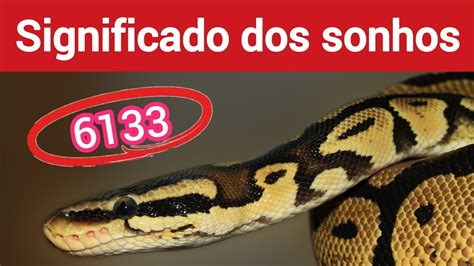 no jogo do bicho qual o número da cobra - milhar cobra jogo do bicho